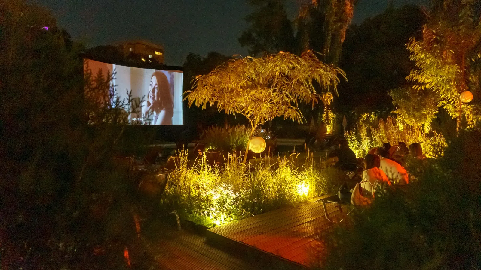 Seară de film în aer liber lângă piscină