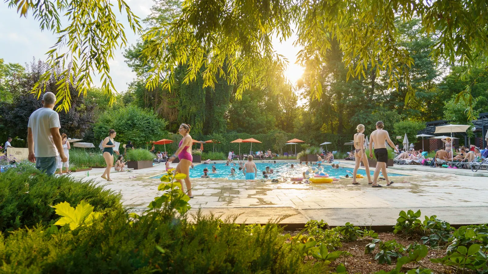 Piscina în soarele de vară, sub sălcii
